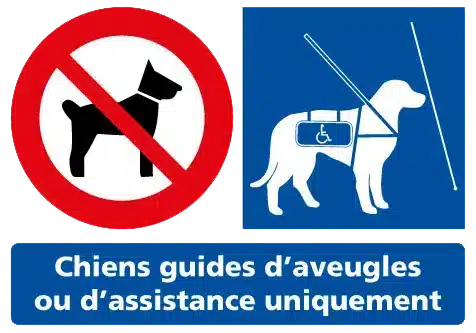 Logo chien interdit sauf chiens guides d'aveugles au parc Fantassia