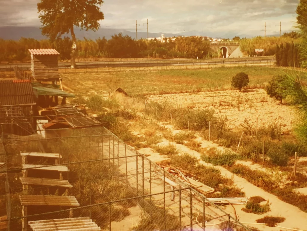 Land of the Fantassia park before completion of the path and decorations